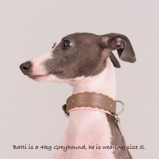 Mayfair Scalloped Leather Collar -- Brown/Pink