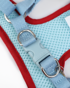 Harness -- Blue Gingham