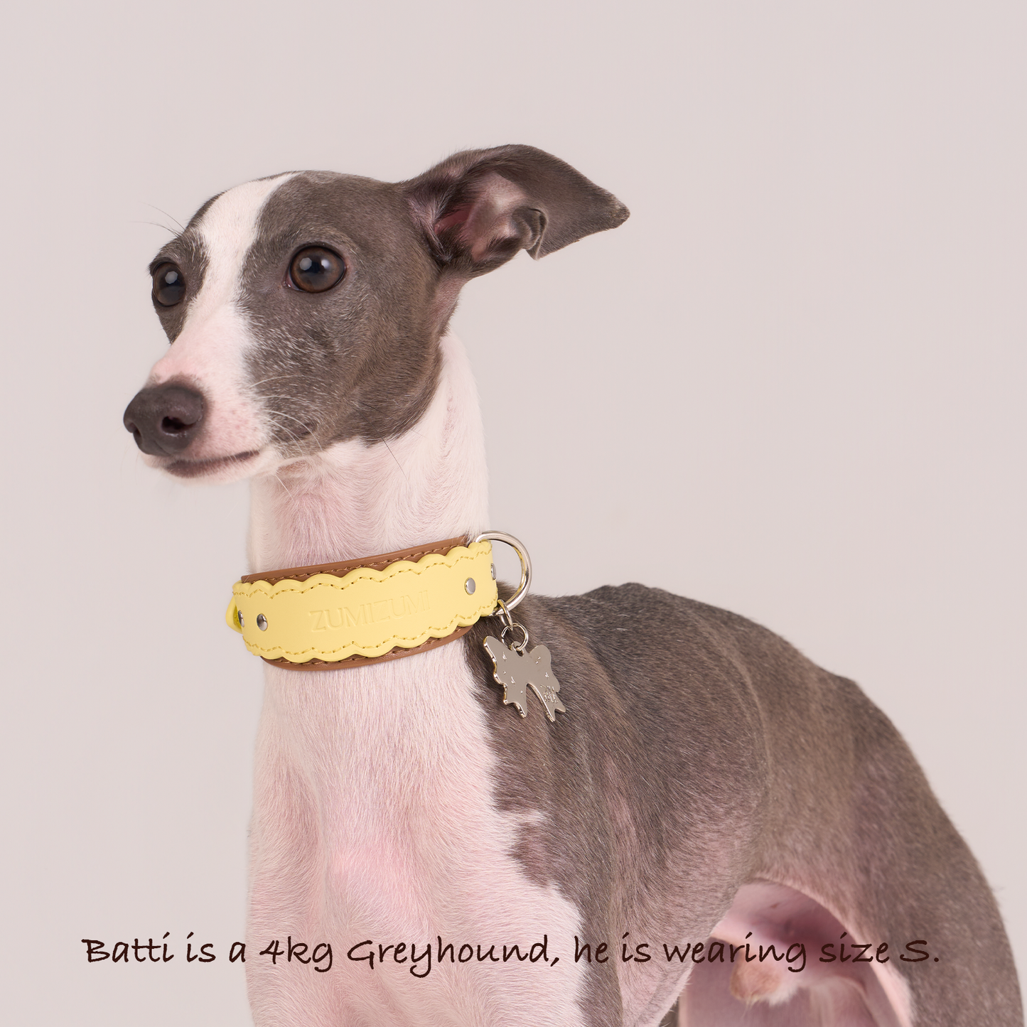 Mayfair Scalloped Leather Collar -- Yellow/Brown