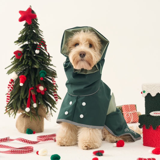 The Christmas Adventure Walkie Set -- Harness