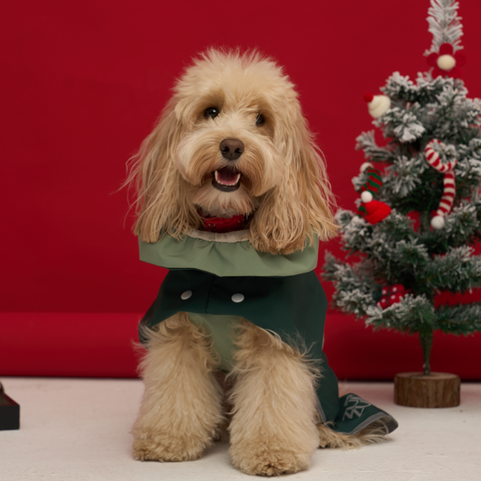 The Christmas Adventure Walkie Set -- Collar