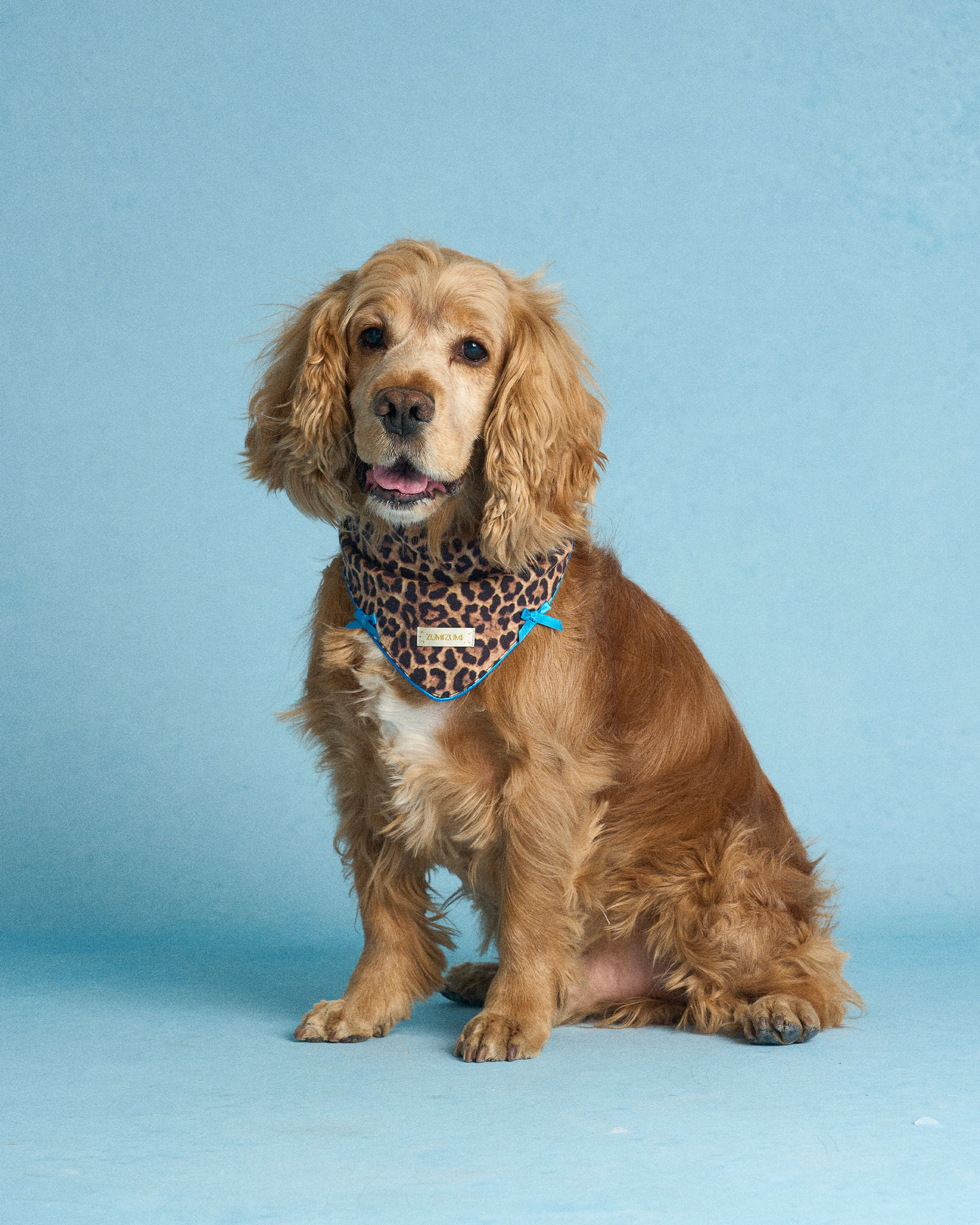 ZUMIZUMI Leopard Print Square Scrunchie-Human & Dog Matching Accessory