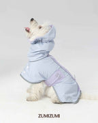Raincoat -- Blue/Purple