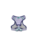 Harness -- Lavender/Navy