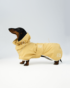 Raincoat -- Yellow