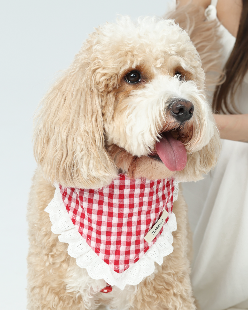 Bandana -- Red Gingham