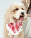 Bandana -- Red Gingham