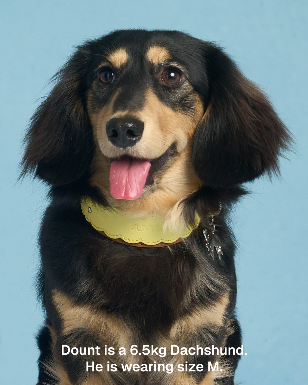 Leather Collar -- Yellow/Brown