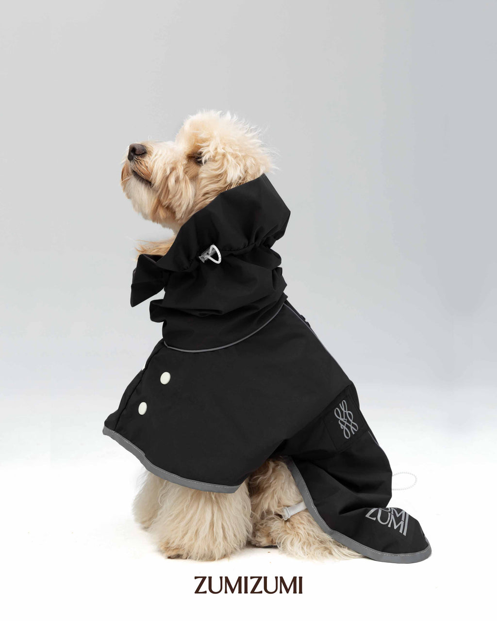 Raincoat -- Black