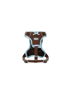 Harness -- Brown/Blue