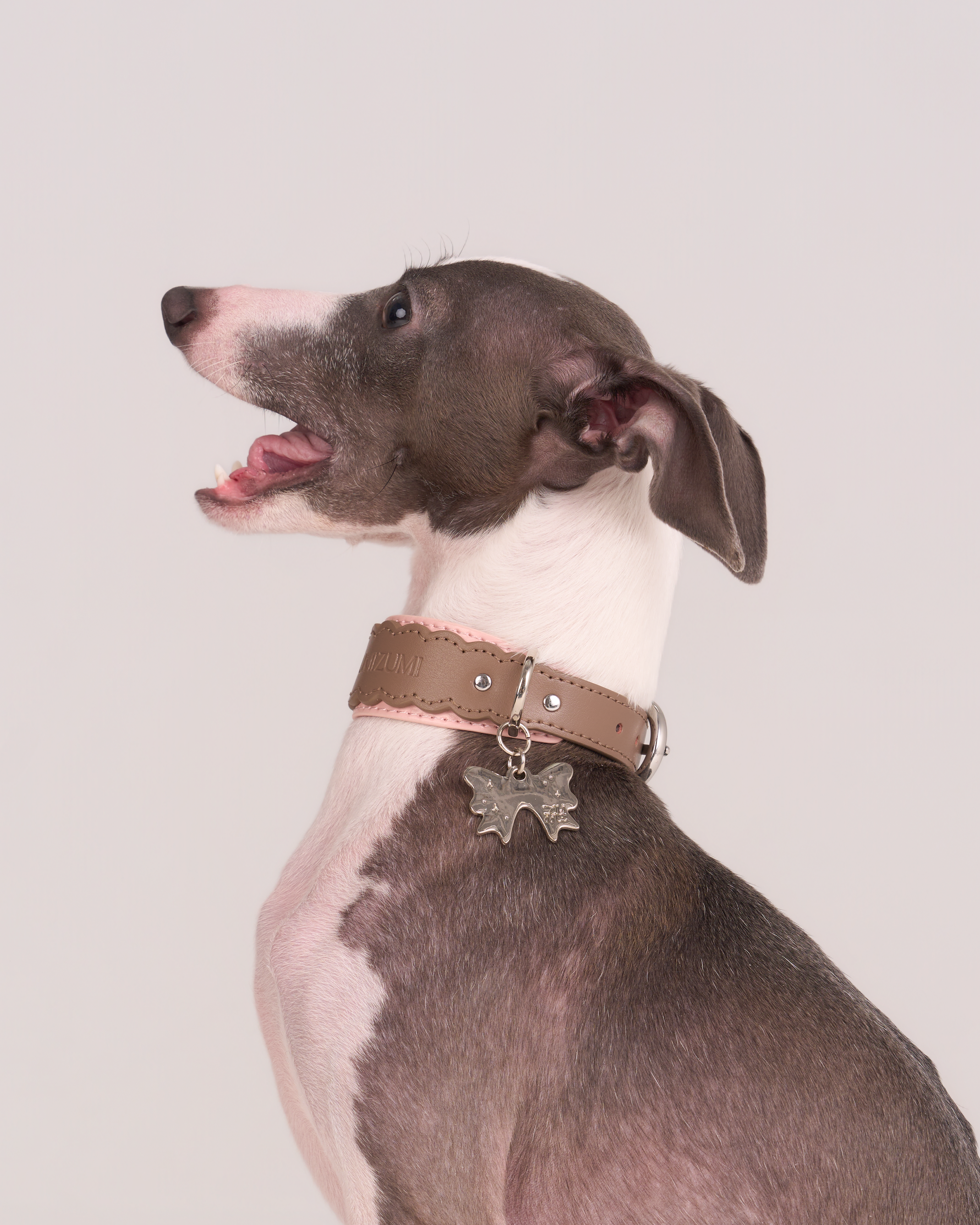 Collier en cuir festonné Mayfair -- Marron/Rose