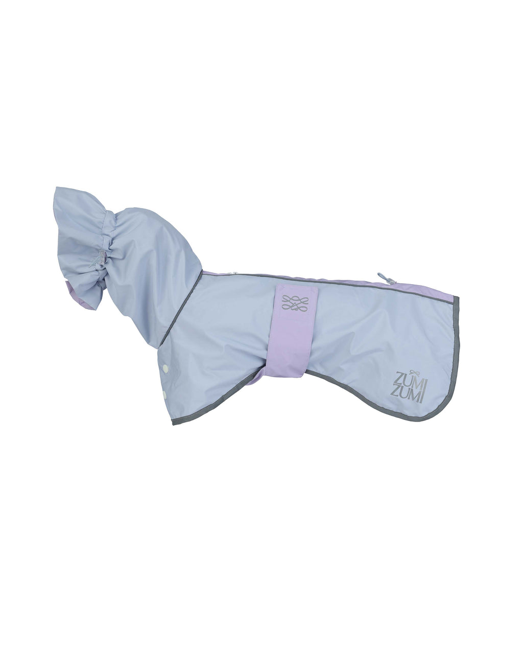 Raincoat -- Blue/Purple